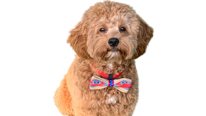 Cute Crab Bow-Tie