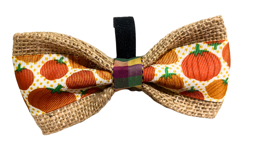 Harvest Pumpkins Bow-Tie