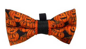 Pumpkins Pumpkins and Pumpkins Bow-Tie